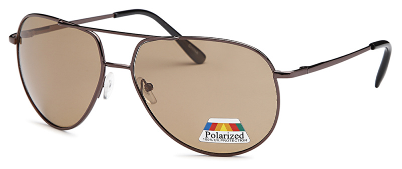 Polarized Aviator Sunglasses - POL3148