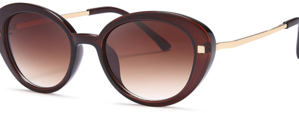 Retro Wholesale Sunglasses - SH6842
